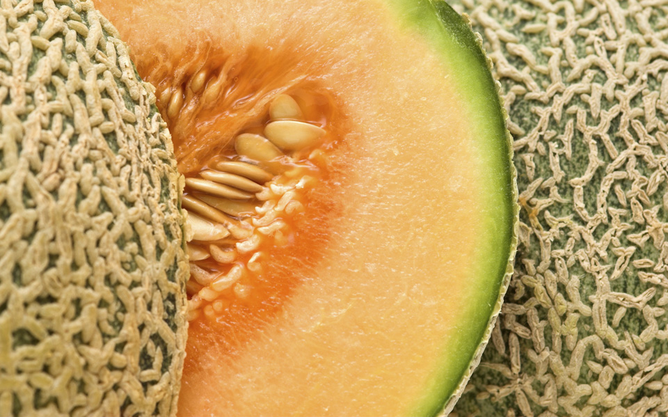 cantaloupe cantaloupe