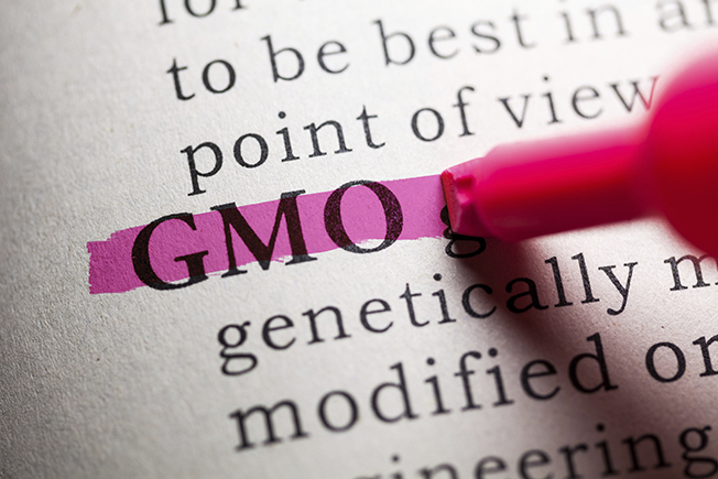 What Is The Future Of Gmos Western Growers