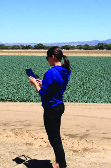 08 field assessment-sm