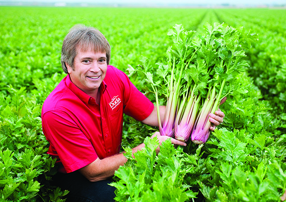 12 Duda Farm Fresh Foods’ Red Celery is grown from an heirloom seed variety that Duda’s researchers developed for nearly 20 years