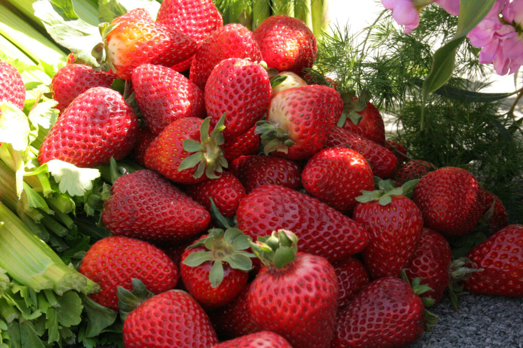USDA Hosting on Strawberry Crop Insurance Western Growers Association Western