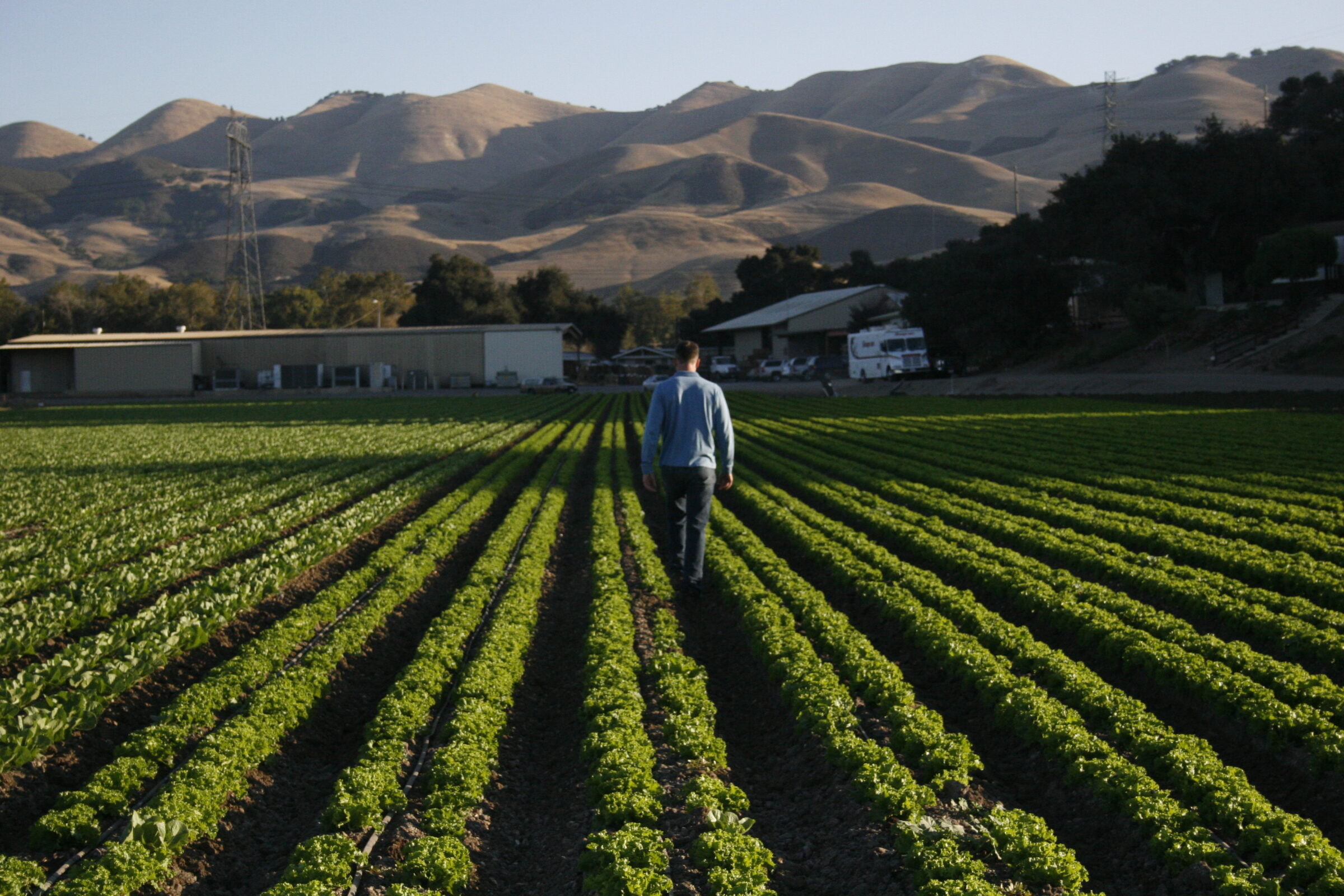 inar Tomorrow on Collaborating for Safer Leafy Greens Western