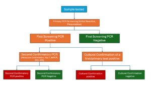 STEC/EHEC detection pathways