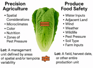 green lettuce with text about Precision Agriculture and Produce Safety 